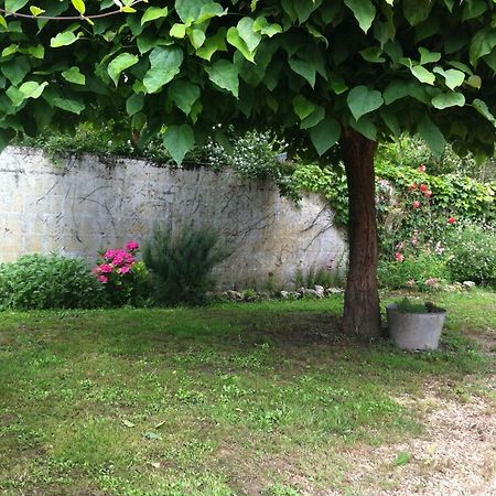 Gite Des Petites Poules Rousses 9 Personnes Zoo Beauval Et Chateaux De La Loire Choussy 外观 照片
