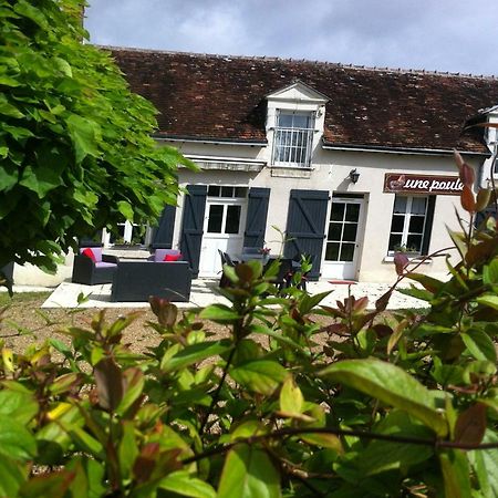 Gite Des Petites Poules Rousses 9 Personnes Zoo Beauval Et Chateaux De La Loire Choussy 外观 照片