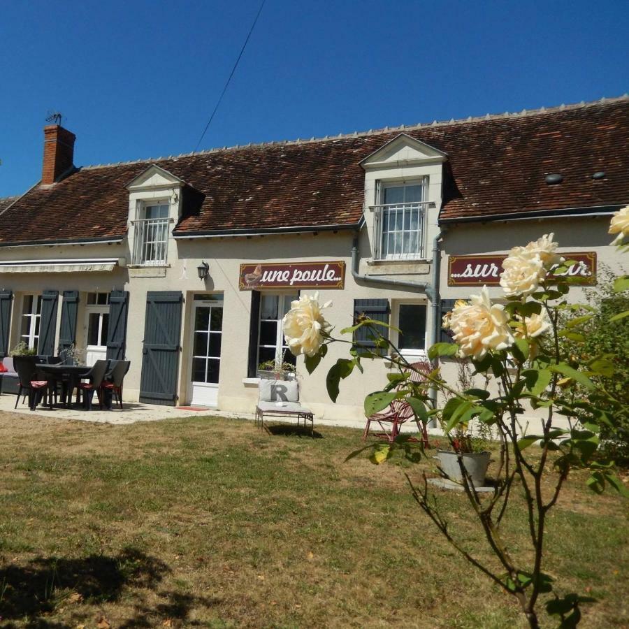 Gite Des Petites Poules Rousses 9 Personnes Zoo Beauval Et Chateaux De La Loire Choussy 外观 照片