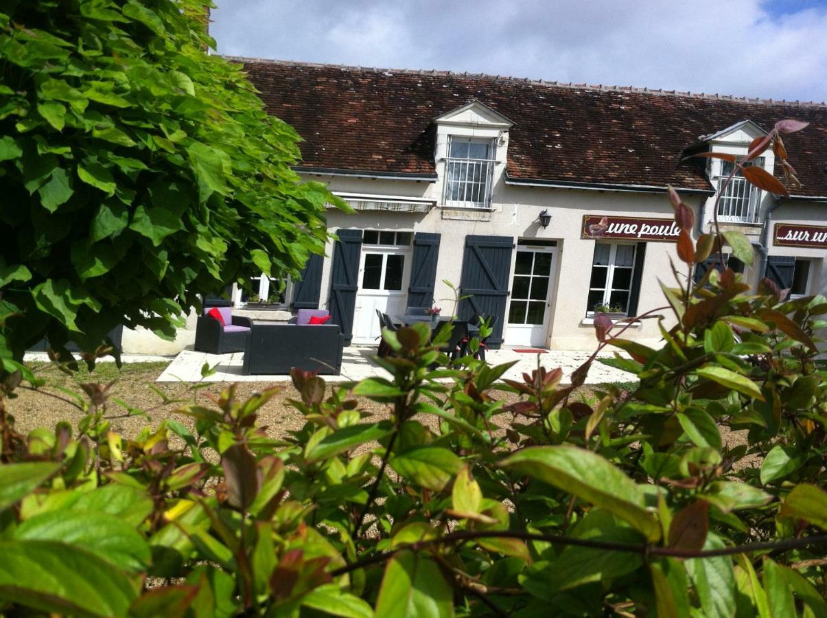 Gite Des Petites Poules Rousses 9 Personnes Zoo Beauval Et Chateaux De La Loire Choussy 外观 照片